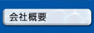 ЊTv